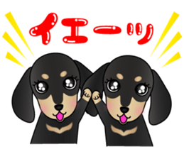 The Dachshund Black and Tan stickers sticker #13222653