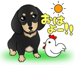 The Dachshund Black and Tan stickers sticker #13222656