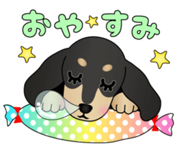 The Dachshund Black and Tan stickers sticker #13222657