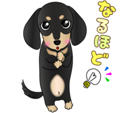 The Dachshund Black and Tan stickers sticker #13222660