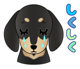 The Dachshund Black and Tan stickers sticker #13222663