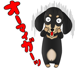 The Dachshund Black and Tan stickers sticker #13222664
