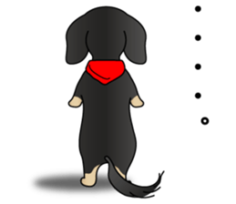 The Dachshund Black and Tan stickers sticker #13222666