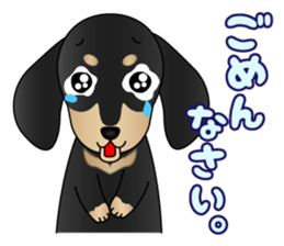 The Dachshund Black and Tan stickers sticker #13222667