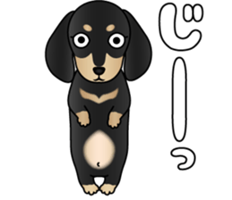 The Dachshund Black and Tan stickers sticker #13222669