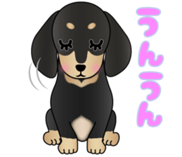 The Dachshund Black and Tan stickers sticker #13222674