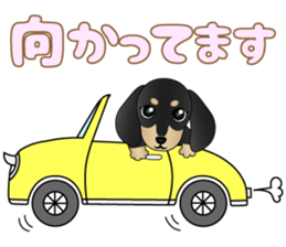 The Dachshund Black and Tan stickers sticker #13222676