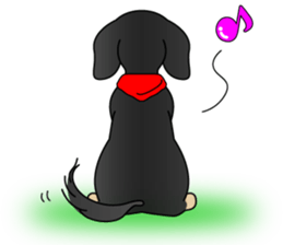 The Dachshund Black and Tan stickers sticker #13222677
