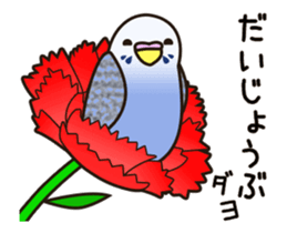 budgerigar ![Ver6](move/response No.2) sticker #13223790