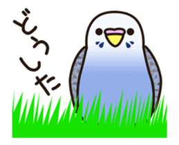 budgerigar ![Ver6](move/response No.2) sticker #13223793