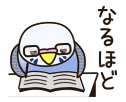budgerigar ![Ver6](move/response No.2) sticker #13223795