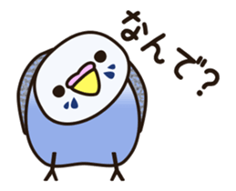 budgerigar ![Ver6](move/response No.2) sticker #13223796