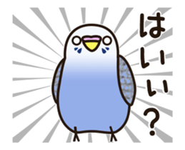 budgerigar ![Ver6](move/response No.2) sticker #13223798