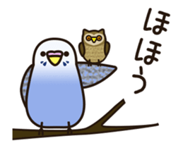 budgerigar ![Ver6](move/response No.2) sticker #13223805