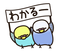 budgerigar ![Ver6](move/response No.2) sticker #13223812