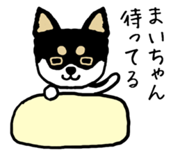 Maichan dog sticker #13224010