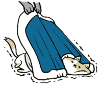 futon and cat sticker #13226941