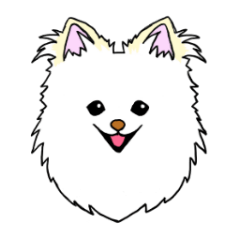 pomeranian pearl of my house
