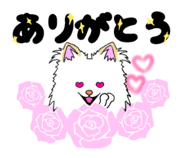 pomeranian pearl of my house sticker #13229171