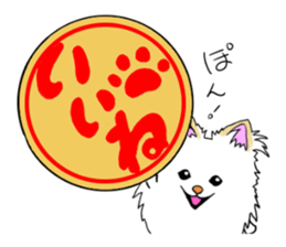 pomeranian pearl of my house sticker #13229172