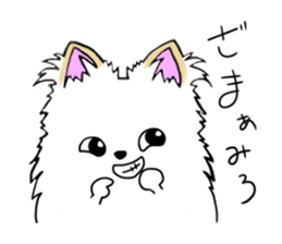pomeranian pearl of my house sticker #13229181
