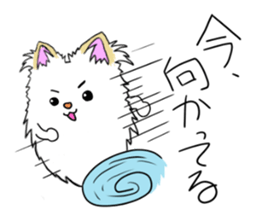 pomeranian pearl of my house sticker #13229200