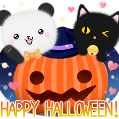 mohu panda3 halloween with black cat