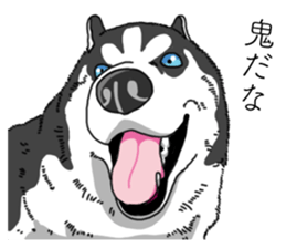 Daily Siberian husky invective sticker #13232400