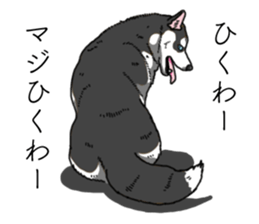 Daily Siberian husky invective sticker #13232405