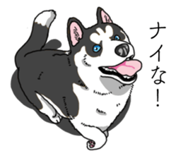 Daily Siberian husky invective sticker #13232421
