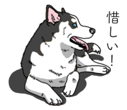 Daily Siberian husky invective sticker #13232434