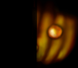 Monster (Halloween) of the darkness sticker #13233434