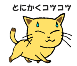 investment FXcat sticker #13234341