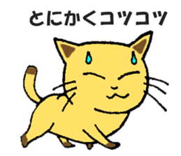 investment FXcat sticker #13234341