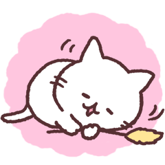 meow meow white kitten