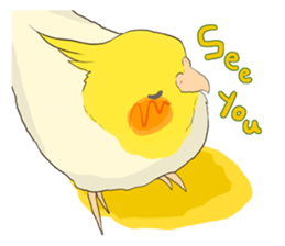 true parrots sticker3 sticker #13236239