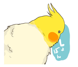 true parrots sticker3 sticker #13236240