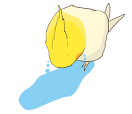 true parrots sticker3 sticker #13236243