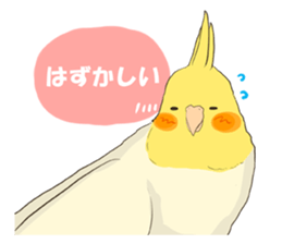 true parrots sticker3 sticker #13236247