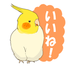 true parrots sticker3 sticker #13236248