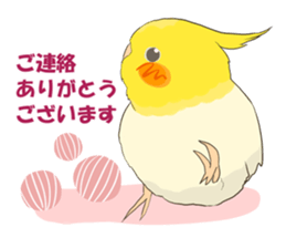 true parrots sticker3 sticker #13236258