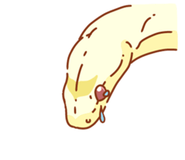 Adorable CornSnake sticker #13236974