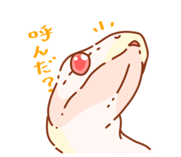 Adorable CornSnake sticker #13236975