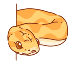 Adorable CornSnake sticker #13236976