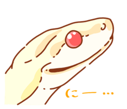 Adorable CornSnake sticker #13236979