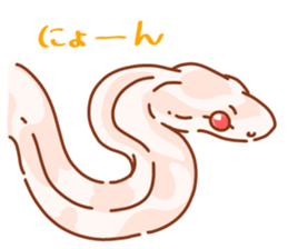 Adorable CornSnake sticker #13236985