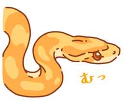 Adorable CornSnake sticker #13236990