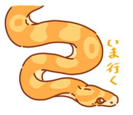 Adorable CornSnake sticker #13236996