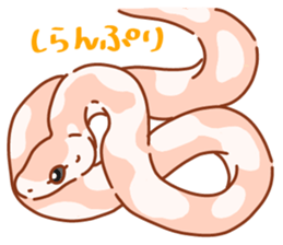 Adorable CornSnake sticker #13237000