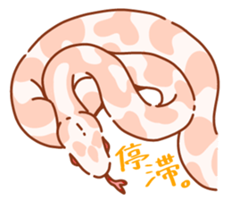 Adorable CornSnake sticker #13237003